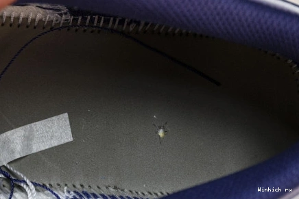 1 Purple “Covered Jordan Tones” Low 1030